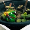Thumbnail of related posts 011