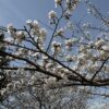Thumbnail of related posts 003